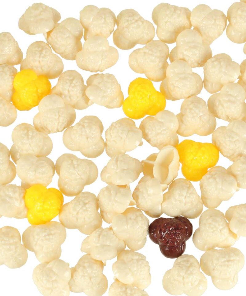 Popcorni Meistri tiitli võitmine