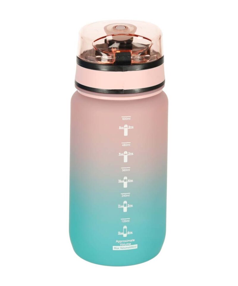 Praktiline 600 ml veepudel