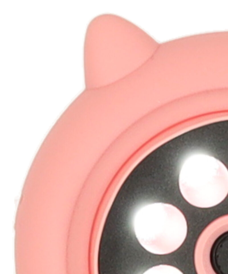 Kerge ja praktiline mikroskoop