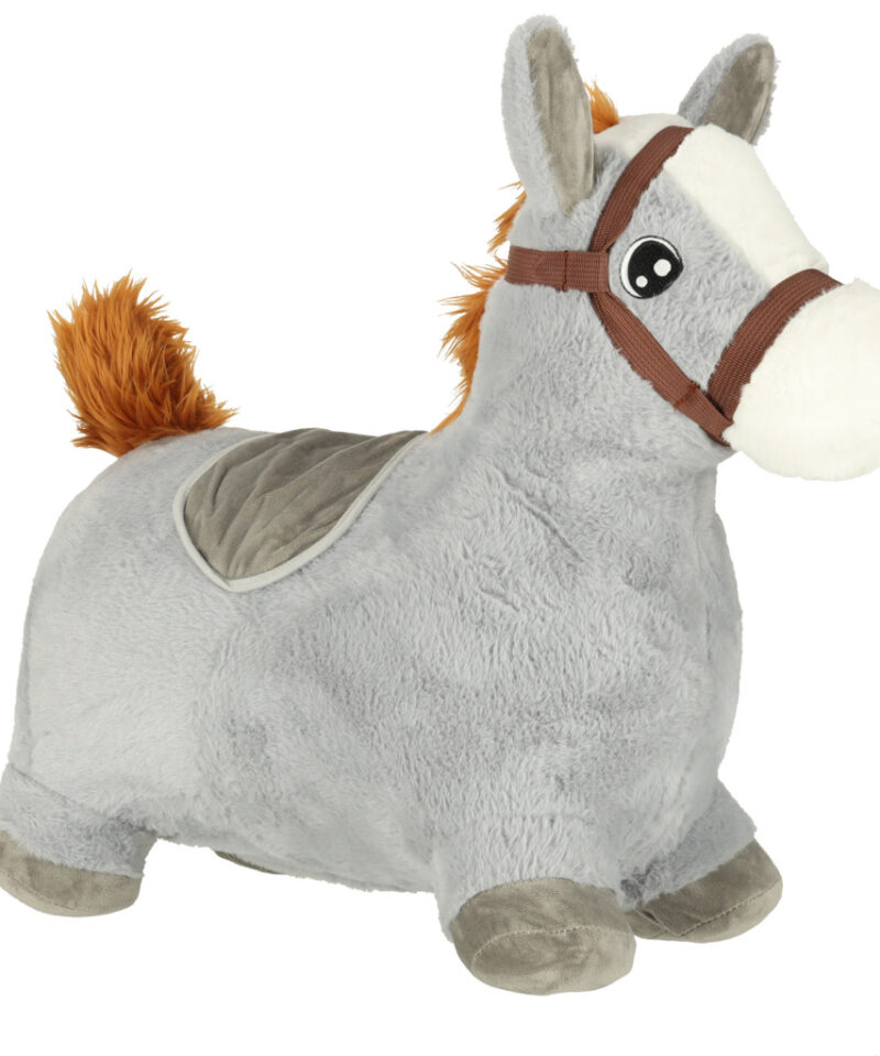 Hüppeloom arendab tasakaalu ja koordinatsiooni