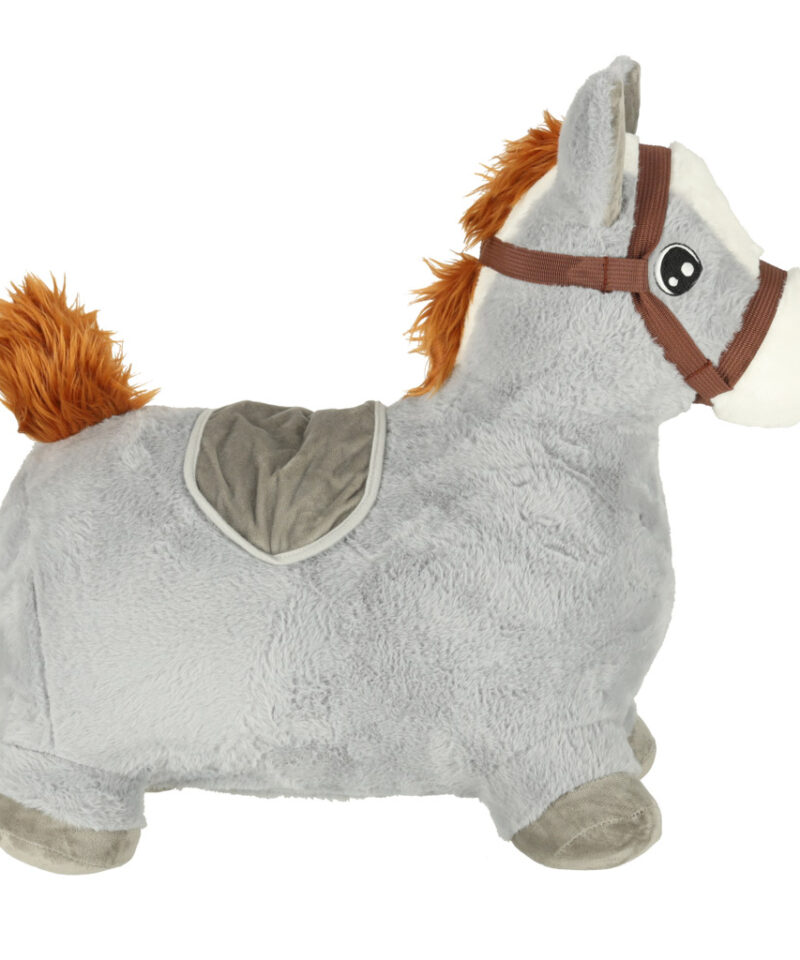 Lastele sobiv hüppeloom alates 3. eluaastast