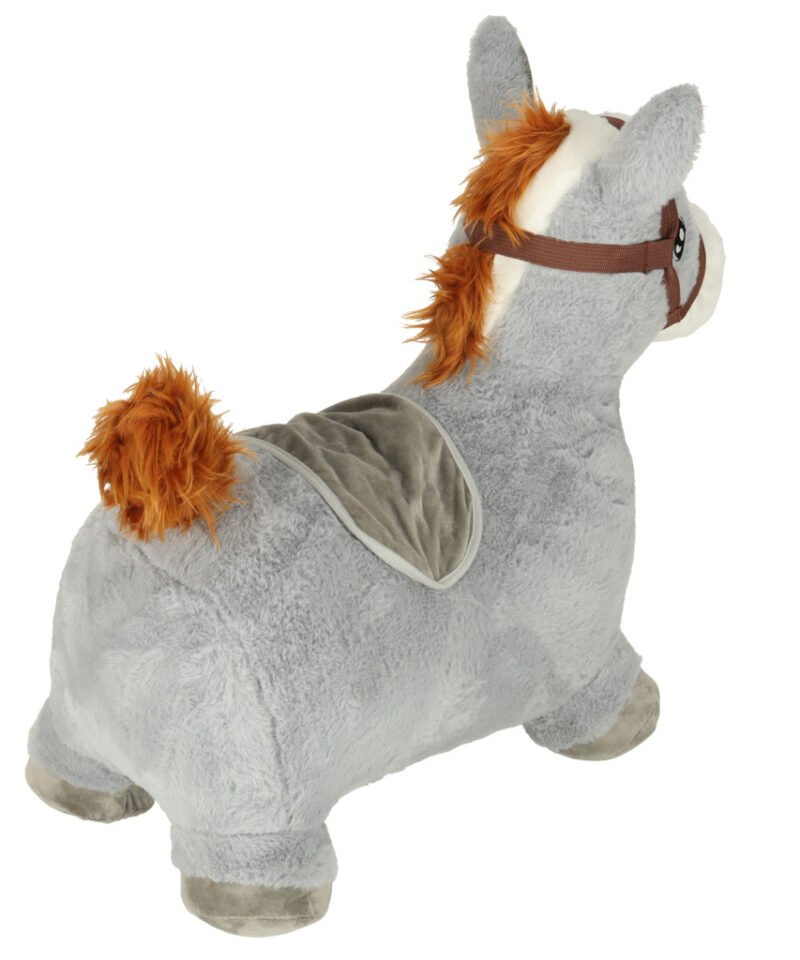 Hüppeloom, mis pakub rõõmu ja arengut