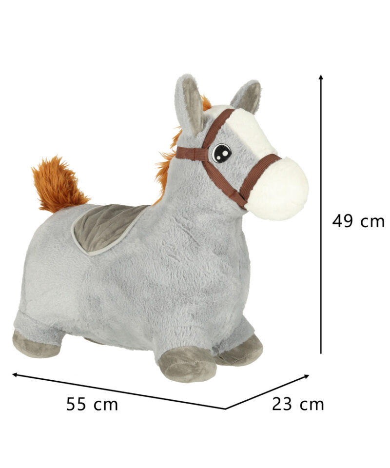 Hüppeloom, mis pakub rõõmu ja arengut