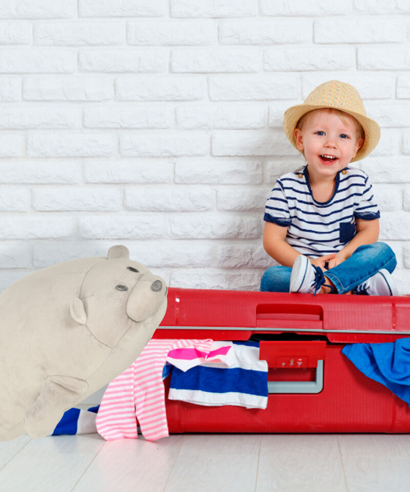 Laste reisipadi ja maskott koos