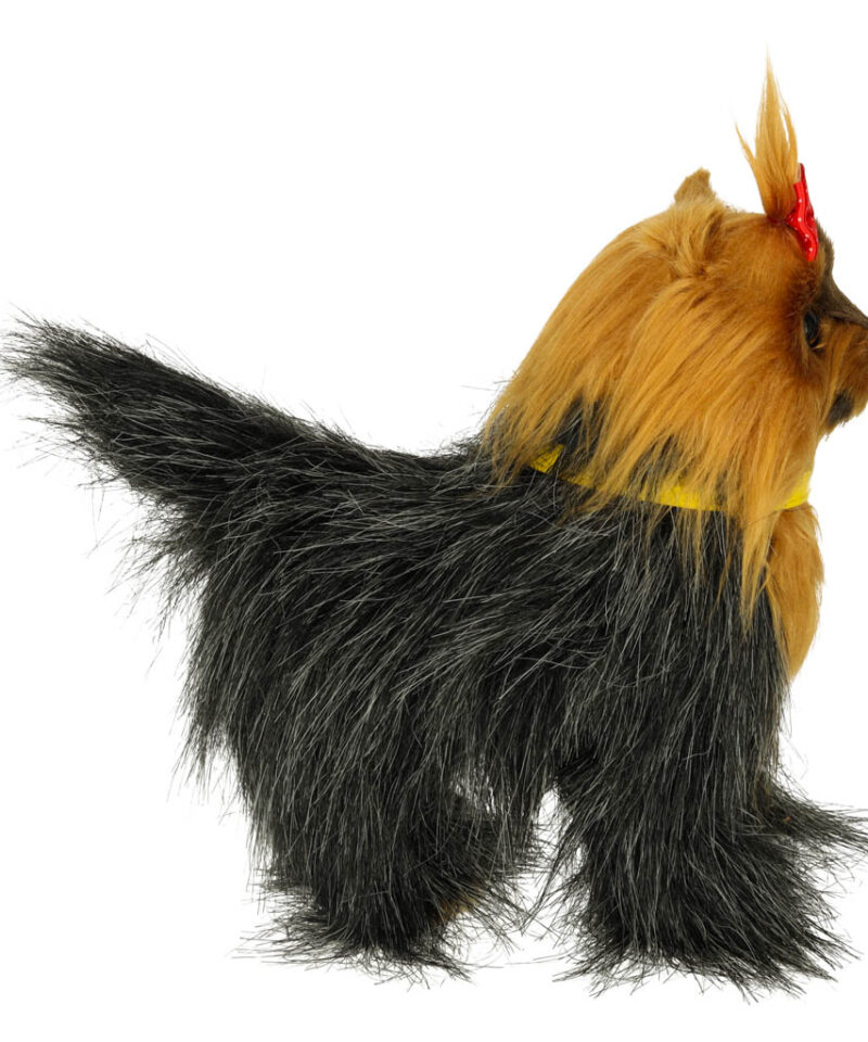 Koer, mis reageerib puudutusele