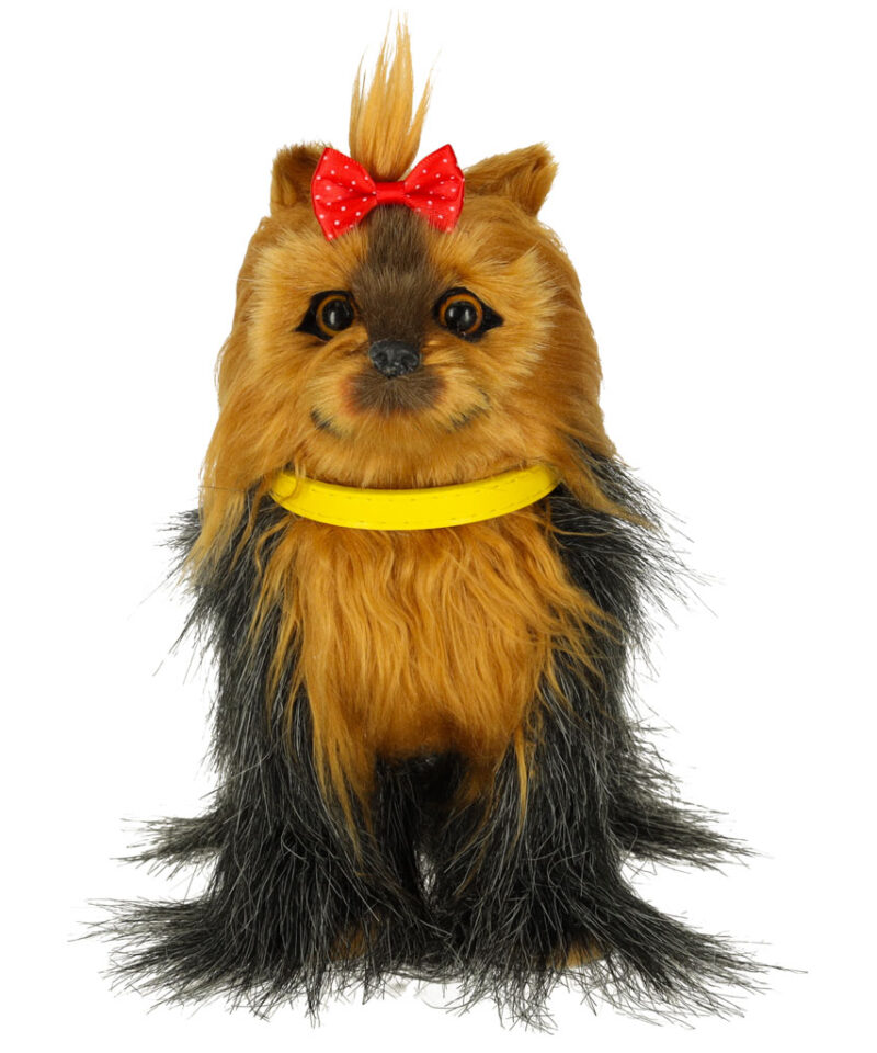 Hariv mängukoer lastele