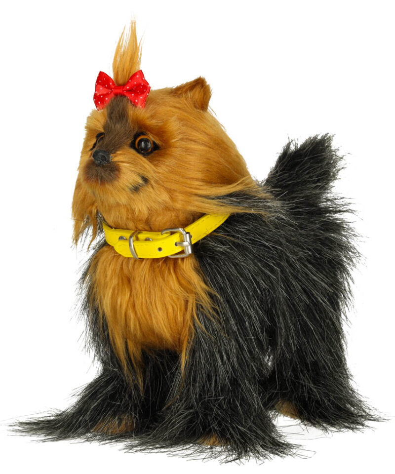 Lõbus ja õpetlik mängukoer