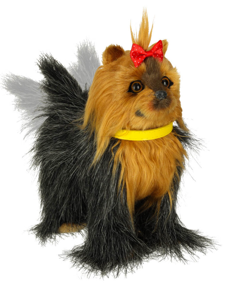 Lõbus ja õpetlik mängukoer