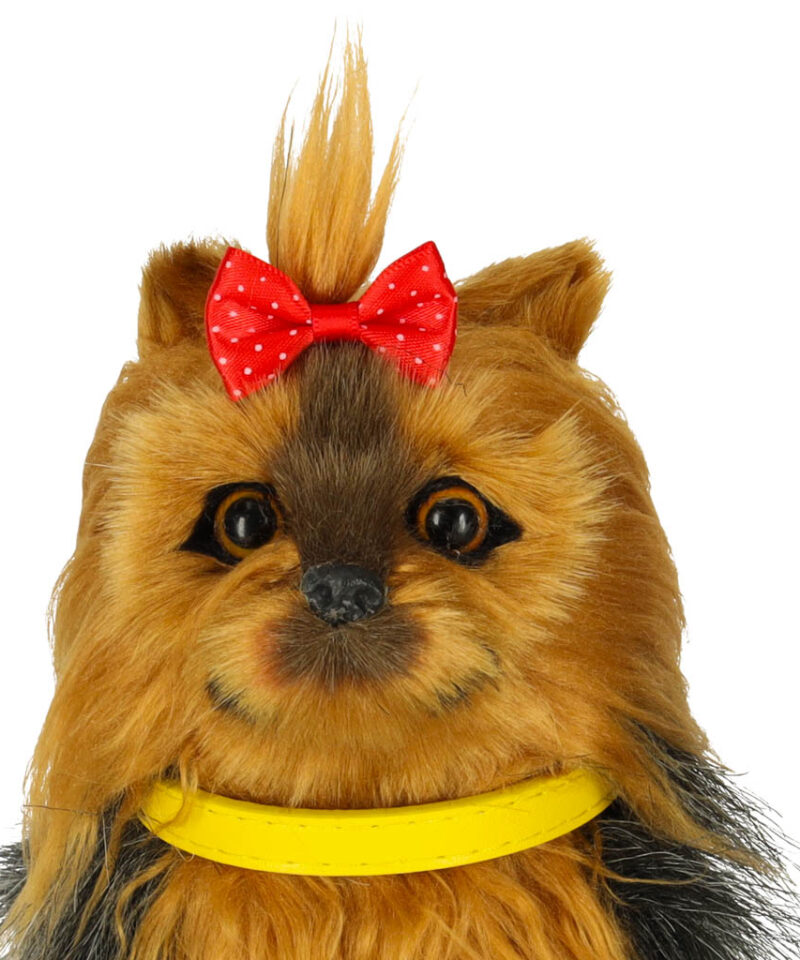 Lõbus ja õpetlik mängukoer