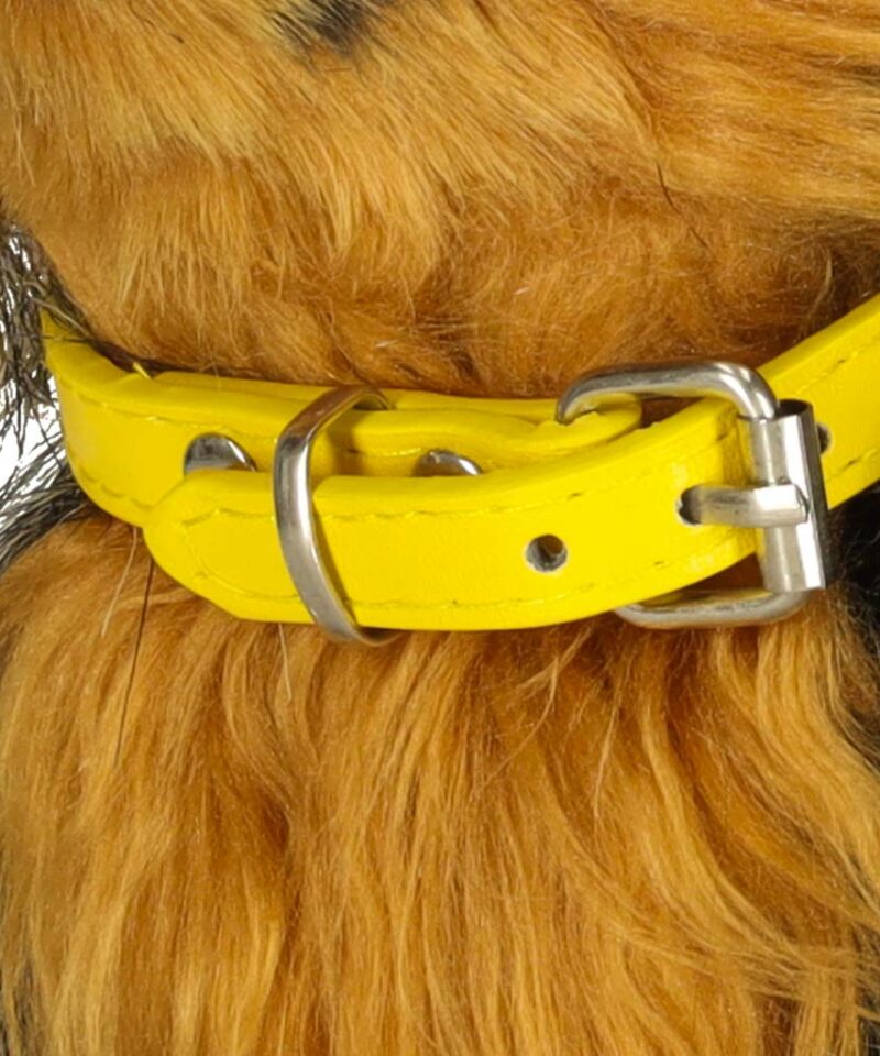 Lõbus ja õpetlik mängukoer