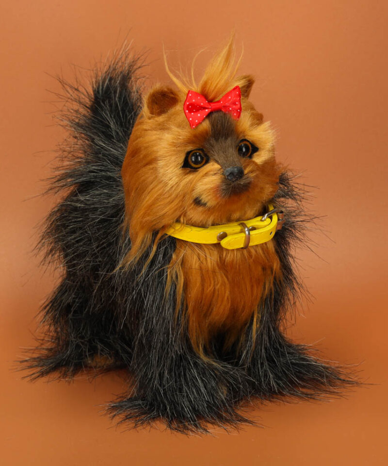 Lõbus ja õpetlik mängukoer