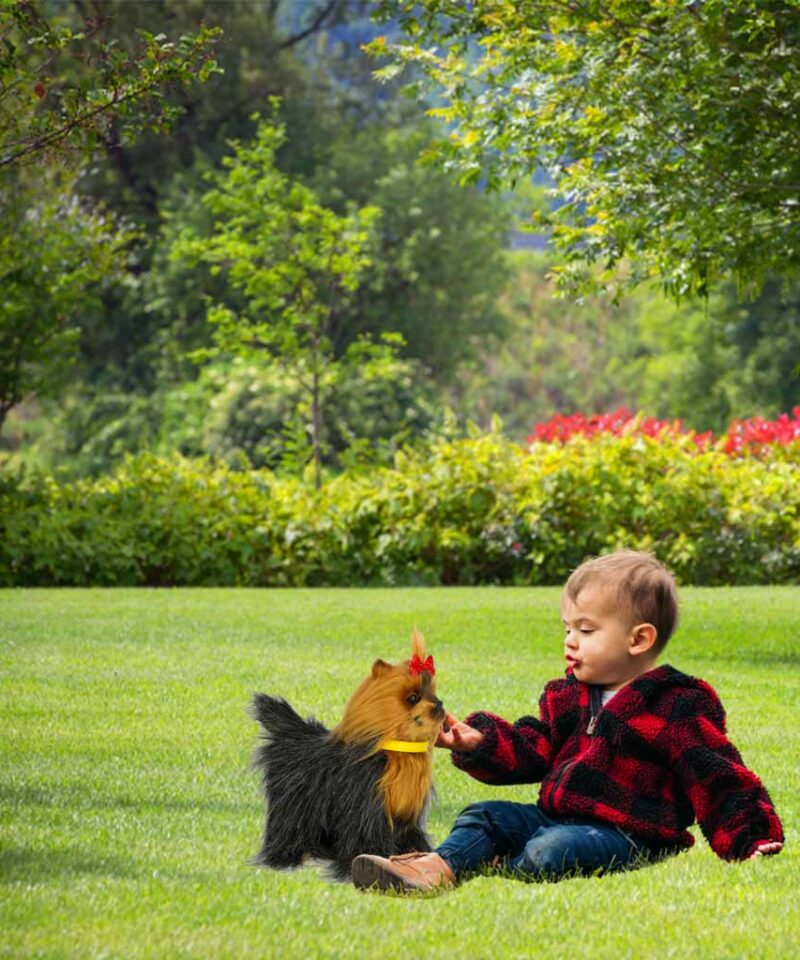 Lõbus ja õpetlik mängukoer