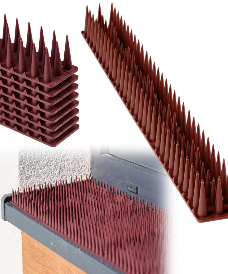 Plastikust linnupeletuskollete komplekt rõdul