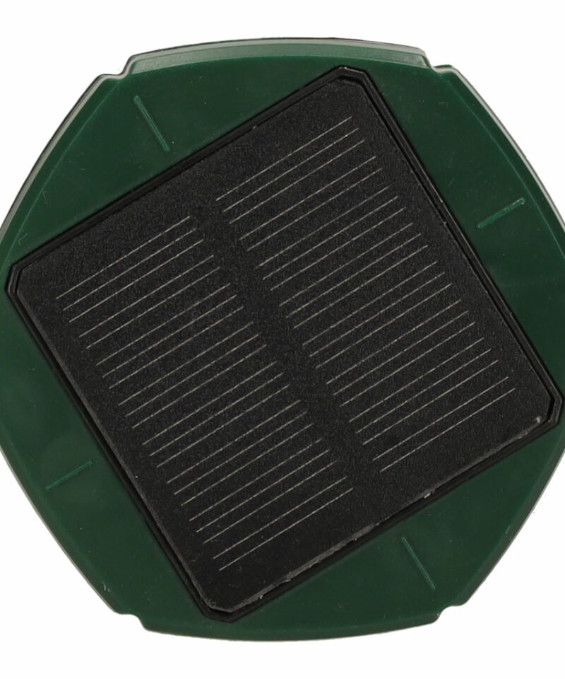 Kaasaegne disain mutipeletaja