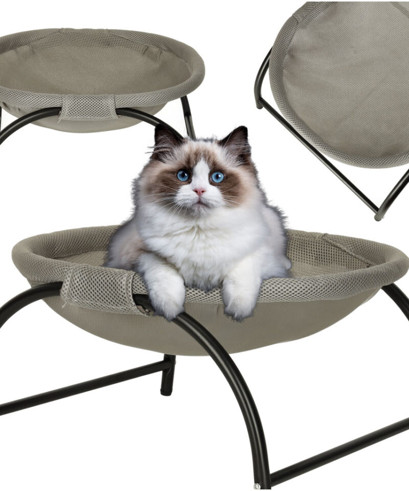 Kassi mugav võrkkiik interjööris