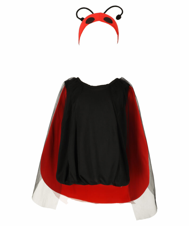 Karnavalikostüüm lepatriinu stiilis