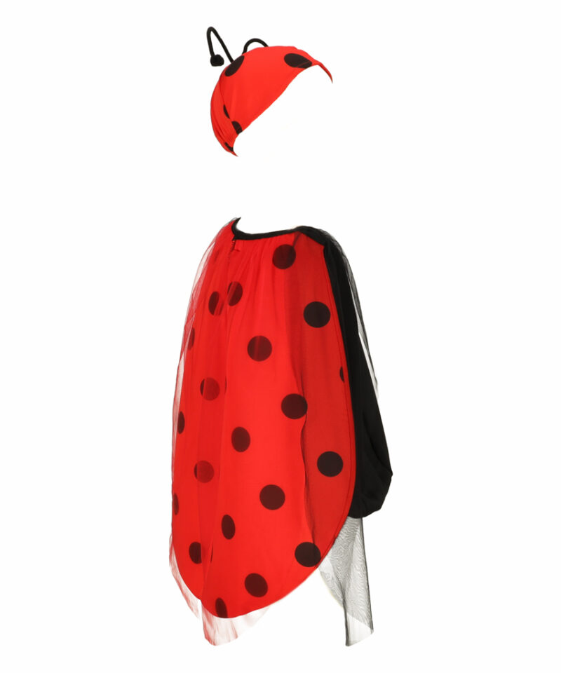 Mugav ja stiilne lepatriinu kostüüm