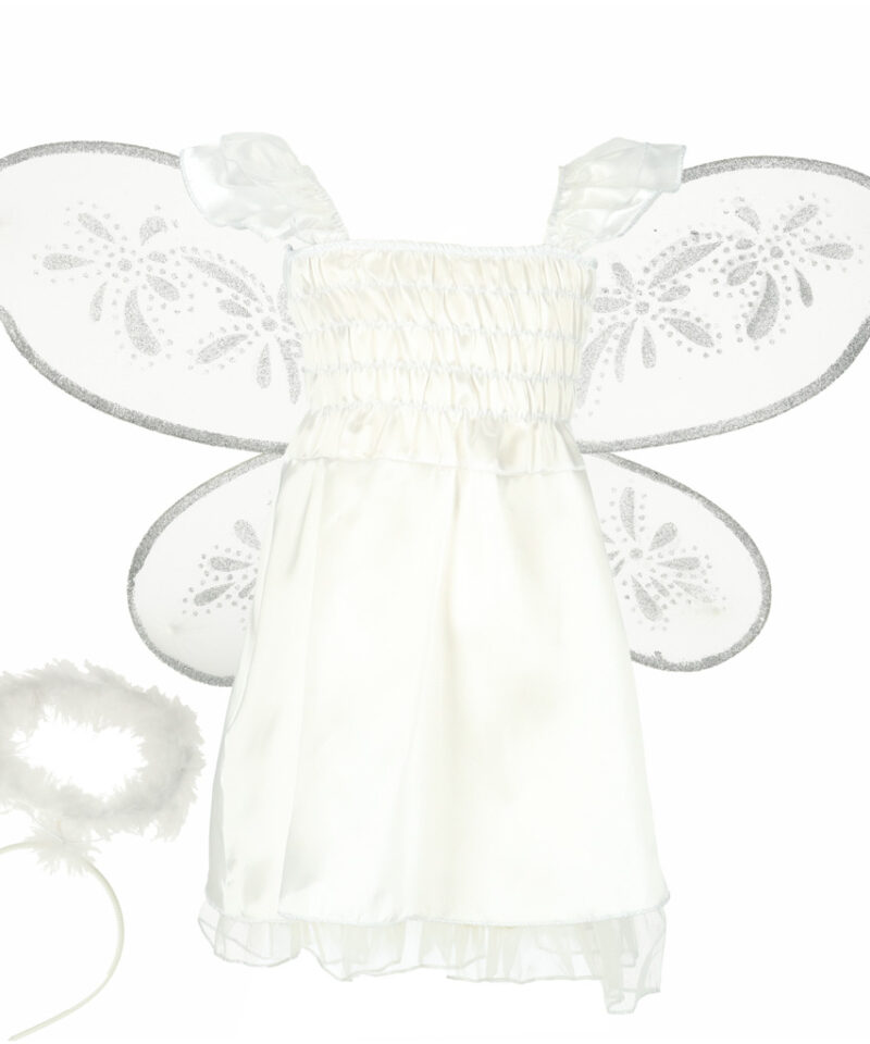 Laste karnavali kostüüm tiibadega