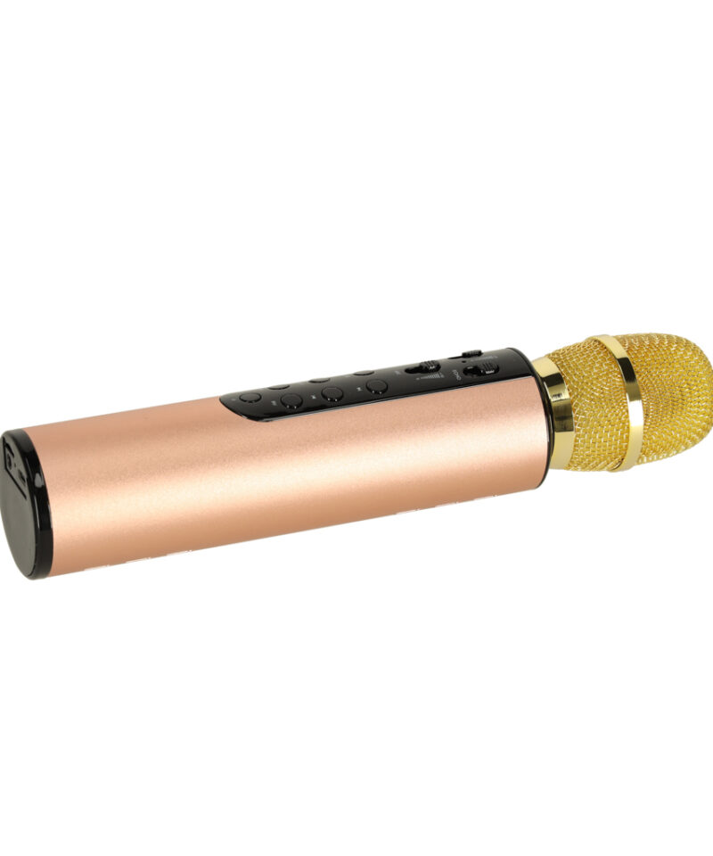 Bluetooth karaoke mikrofon lastele