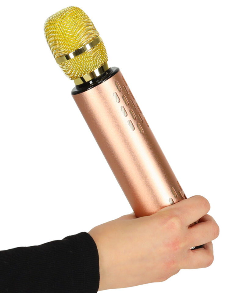 Lõbus karaoke mikrofon lastele