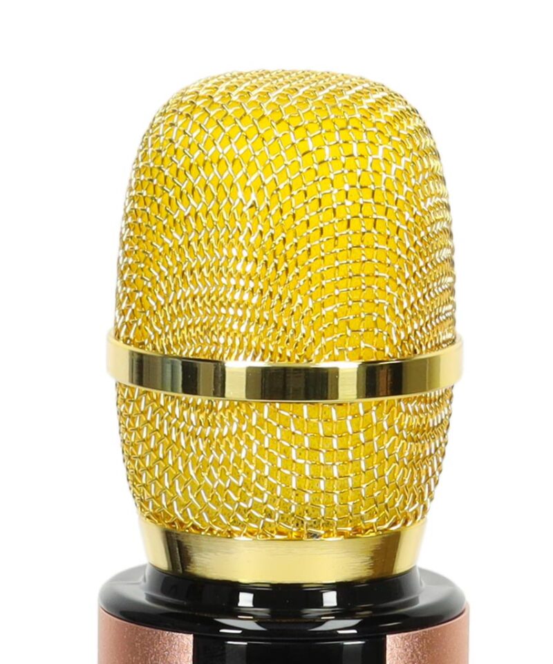 Stiilne mikrofon lastele