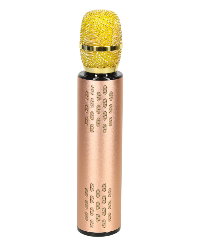 Kuldne karaoke mikrofon lastele