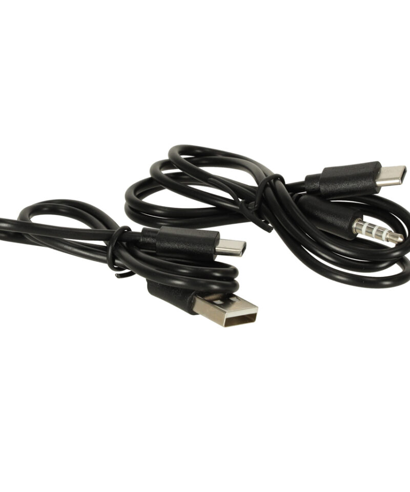 Kuldne karaoke mikrofon lastele