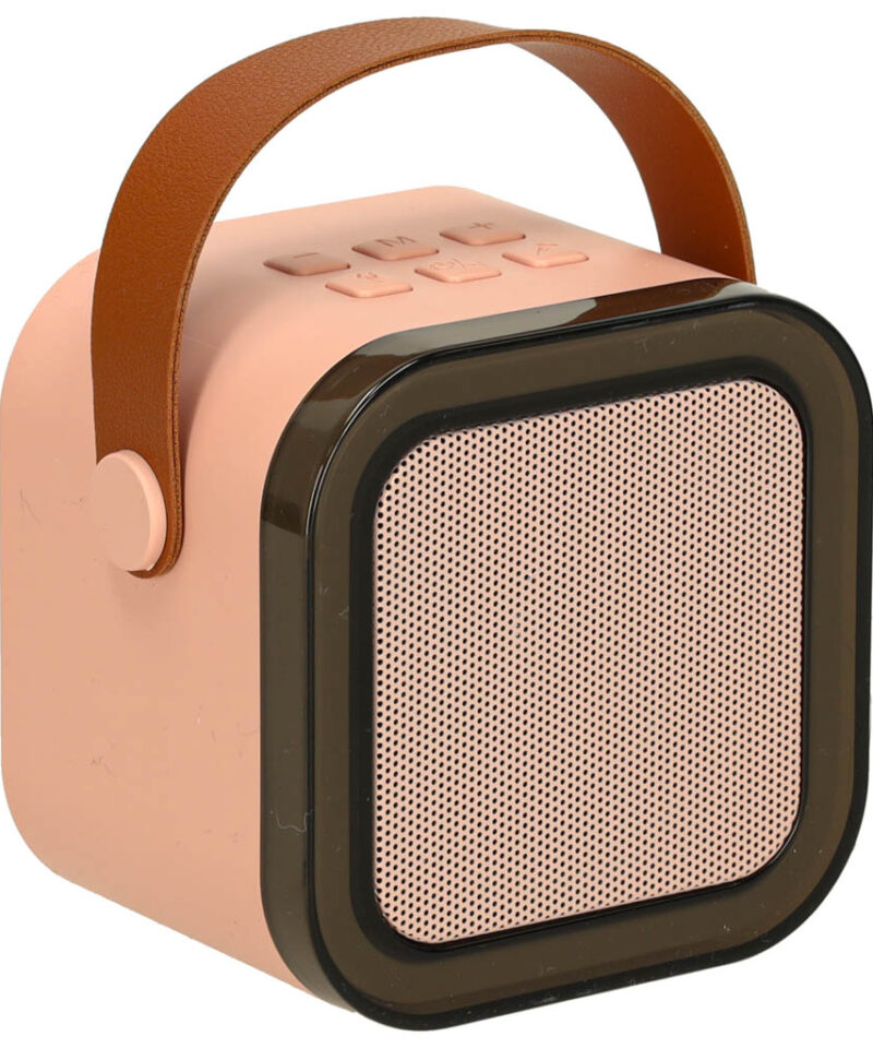 LED-efektidega kaasaskantav karaoke