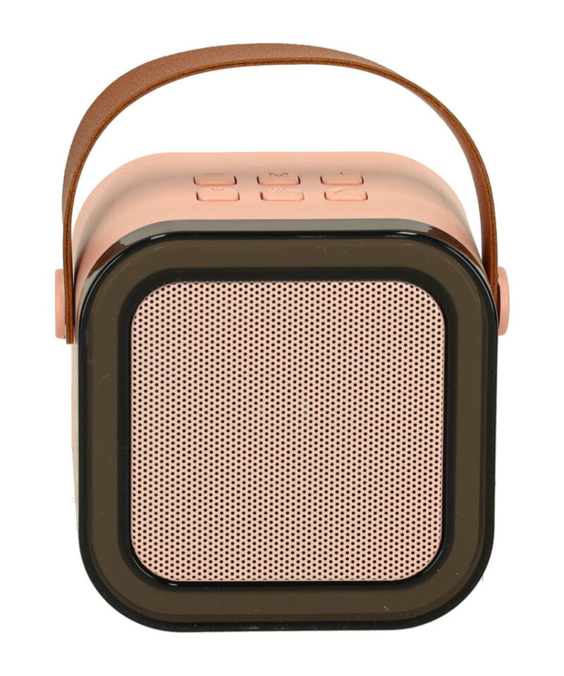 Meelelahutuslik karaoke kõlar ja mikrofon