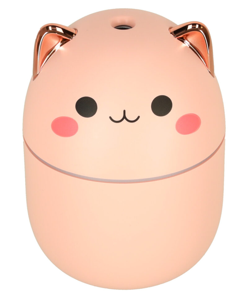 Kassikujuline niisutaja öölambina