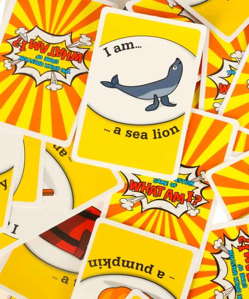 Kaasahaarav mäng koosviibimisteks