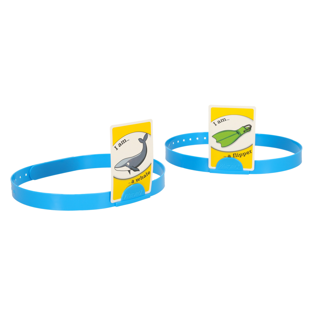 Ideaalne mäng pere ja sõpradega