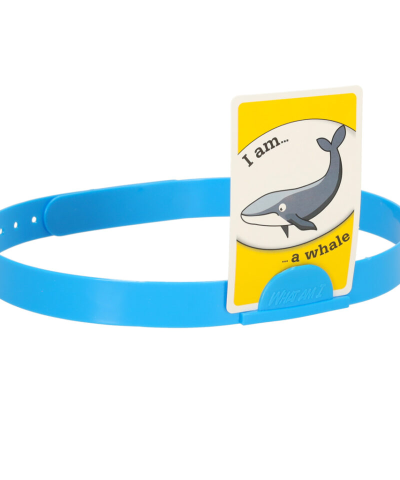 Ideaalne mäng pere ja sõpradega