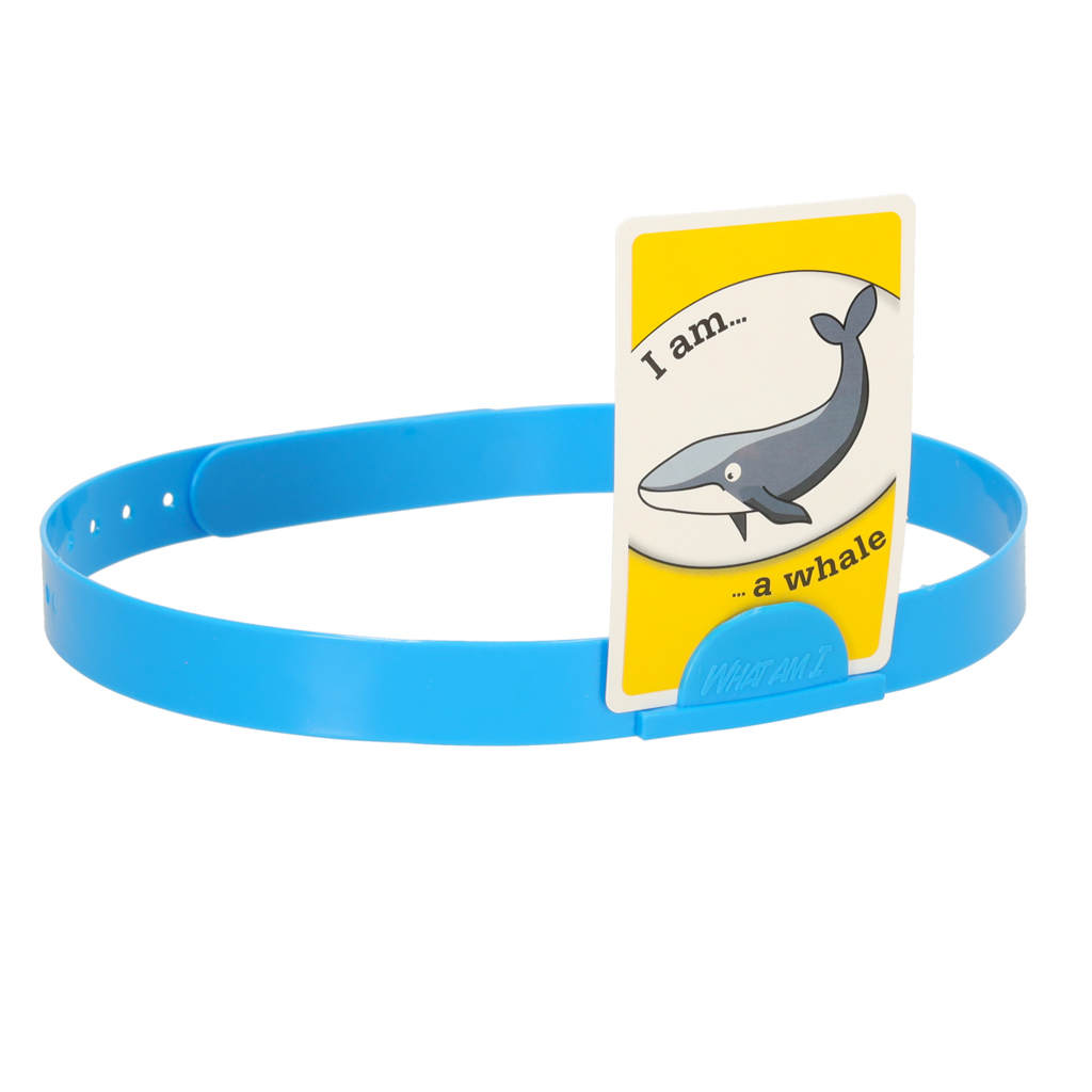 Ideaalne mäng pere ja sõpradega