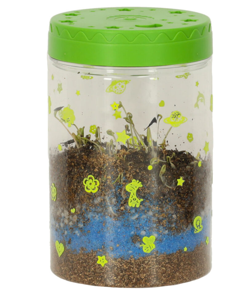 Miniatuurne ökosüsteem kodus