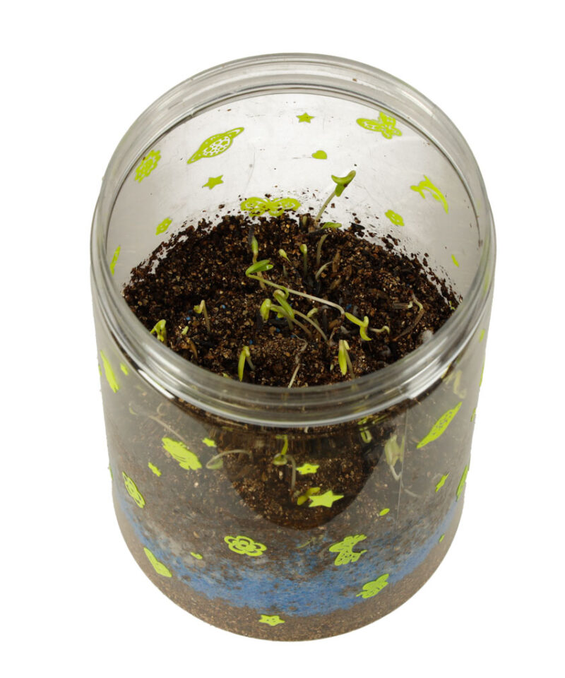 Miniatuurne ökosüsteem kodus