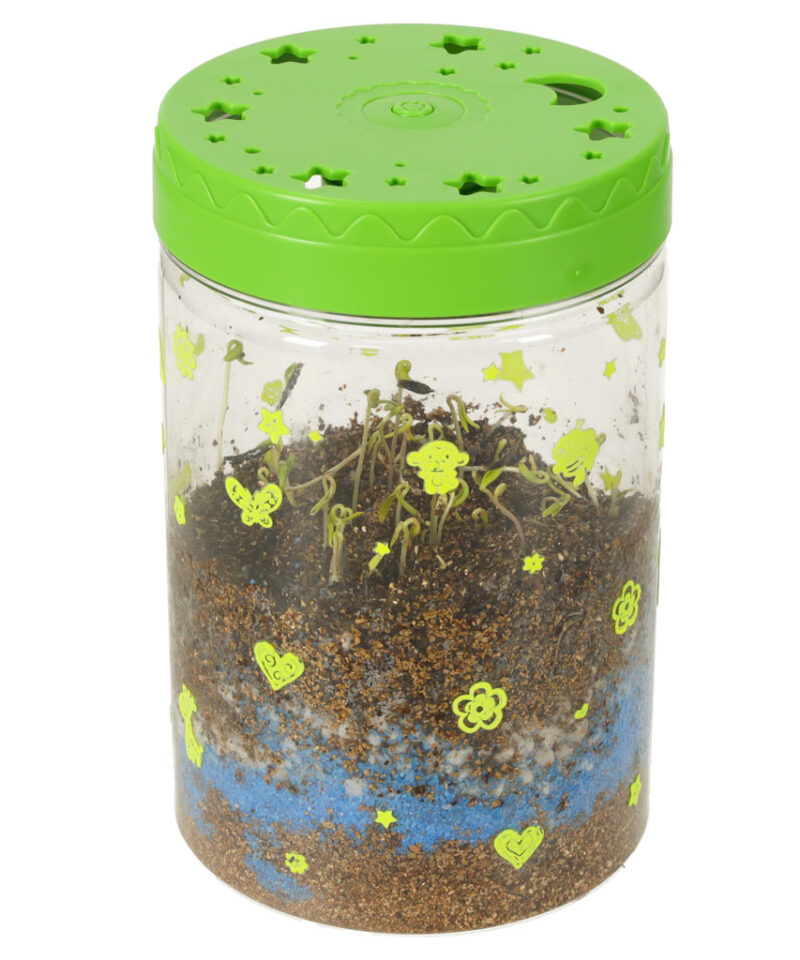 Miniatuurne ökosüsteem kodus