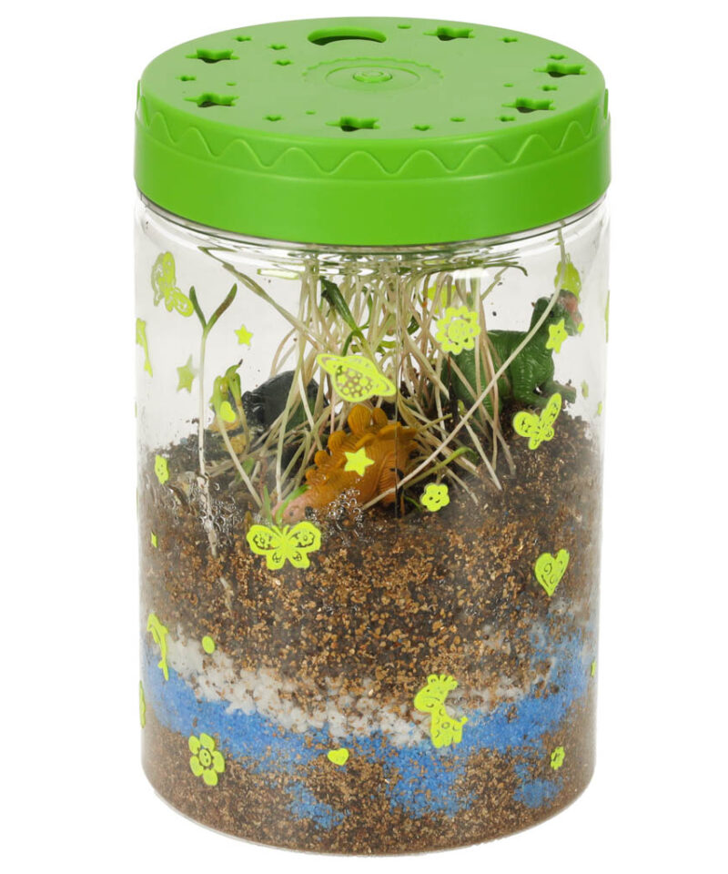 Miniatuurne ökosüsteem kodus