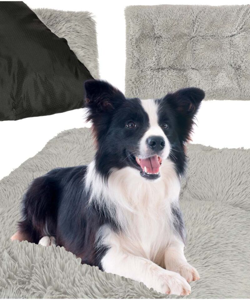 Elegantne lemmiklooma pesa