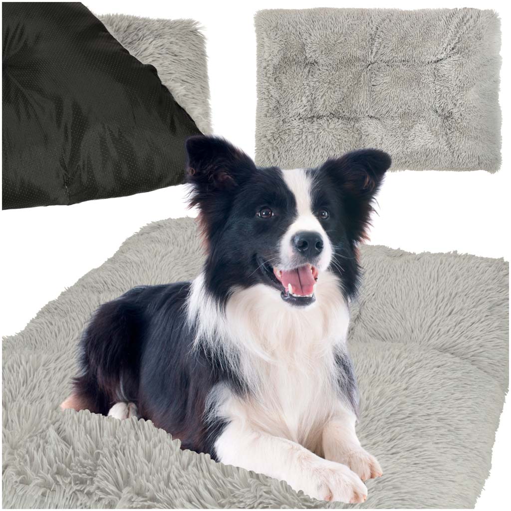 Elegantne lemmiklooma pesa