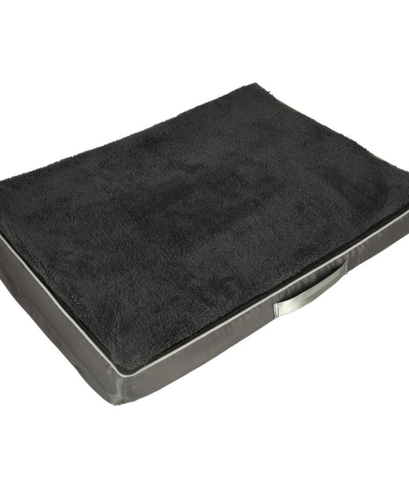 Ortopeediline ase lemmikloomadele