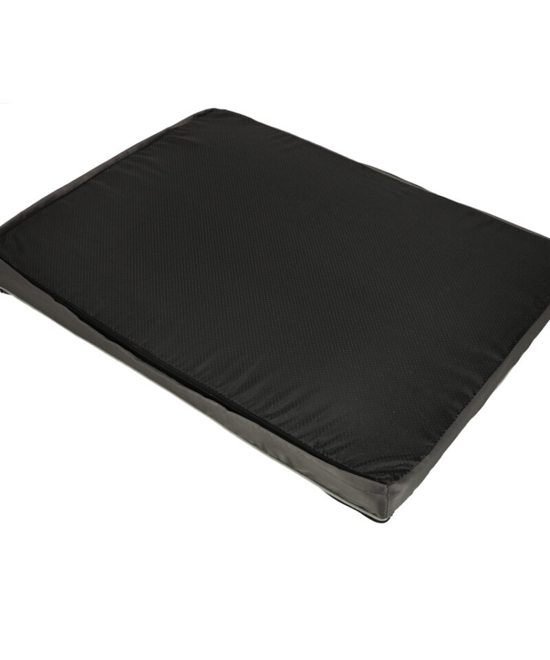 Mugav ortopeediline ase koertele