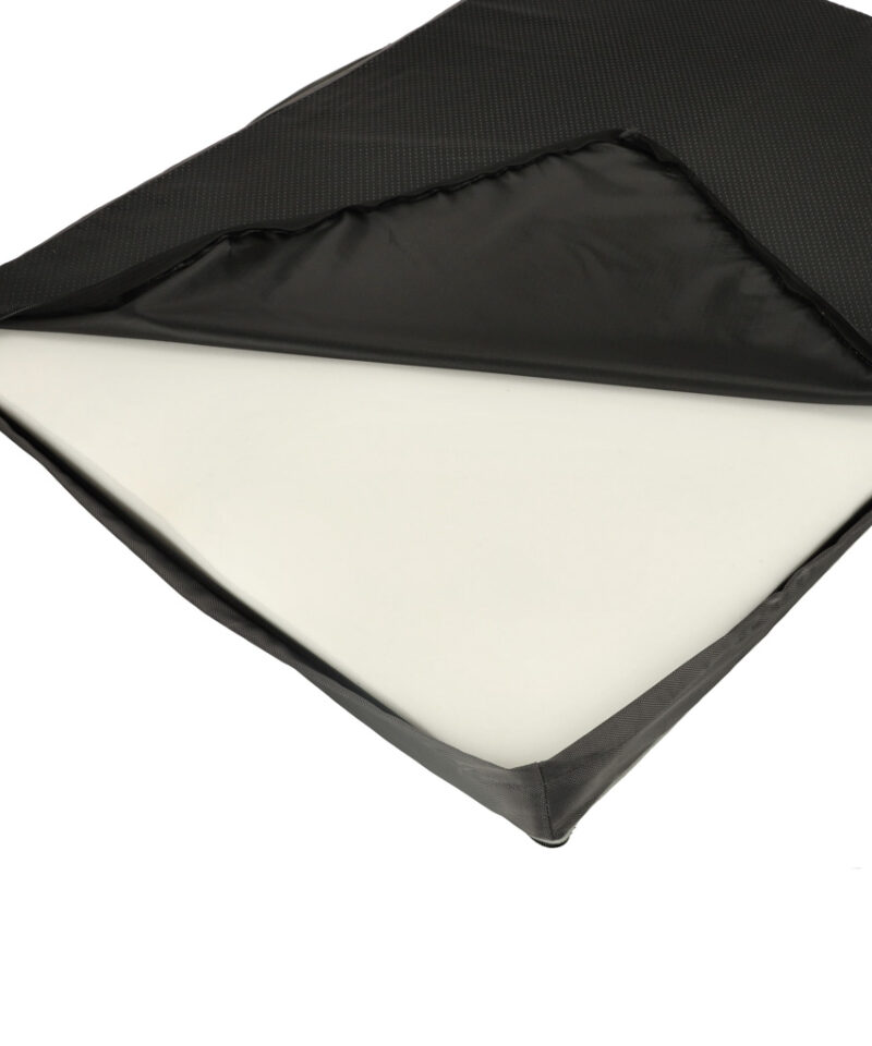 Eemaldatava kattega lemmiklooma ase