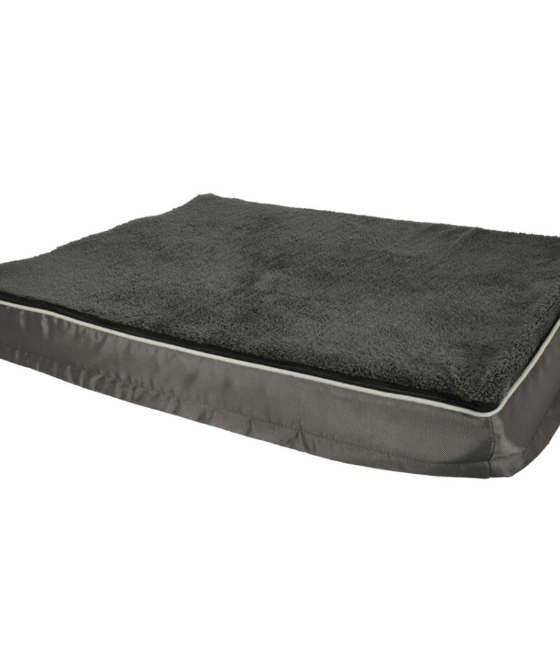 Suure suurusega lemmiklooma ase