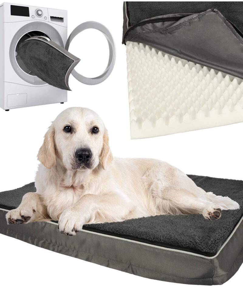 Suure suurusega lemmiklooma ase