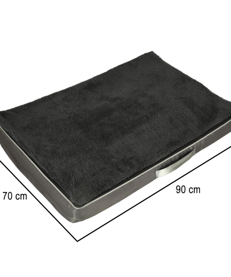 Suure suurusega lemmiklooma ase