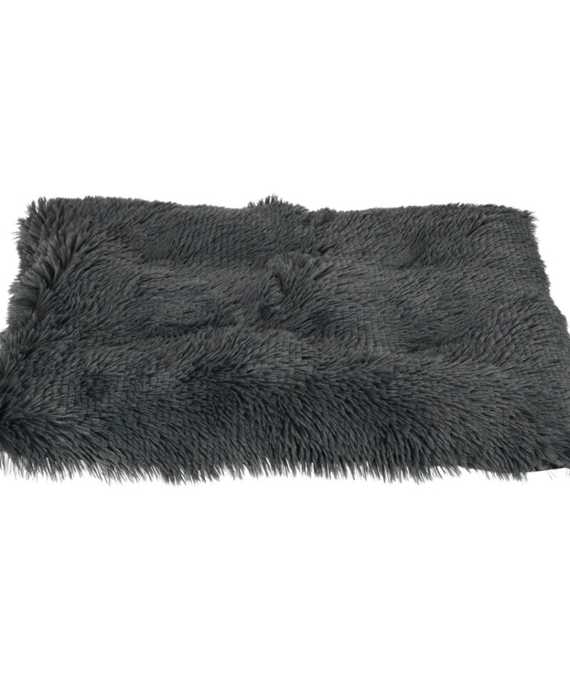 Lemmiklooma pesa libisemisvastase põhjaga