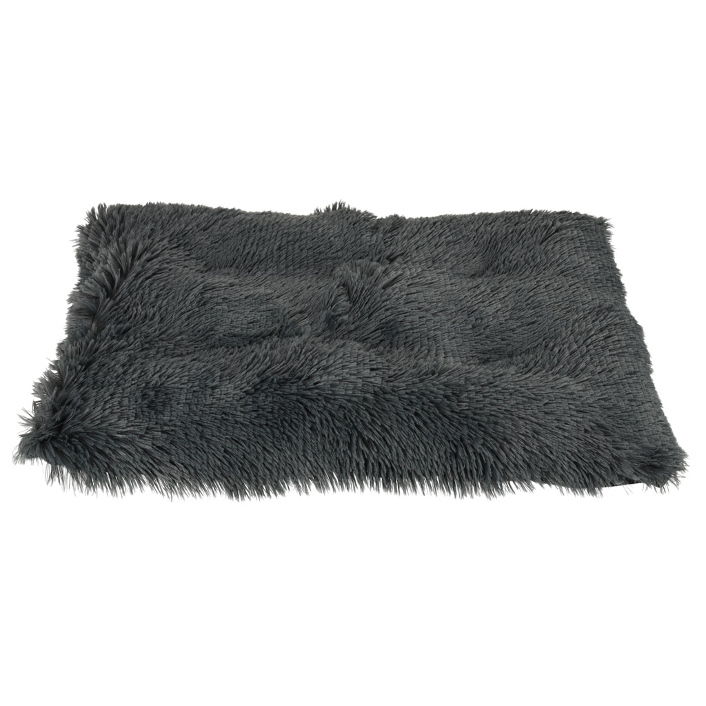 Lemmiklooma pesa libisemisvastase põhjaga