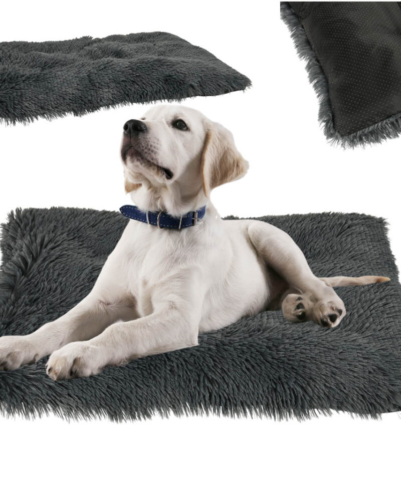 Hubane pesa igasse interjööri