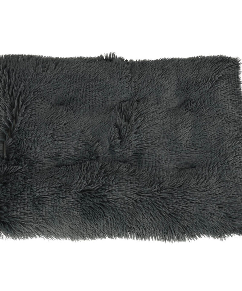 Hubane pesa igasse interjööri